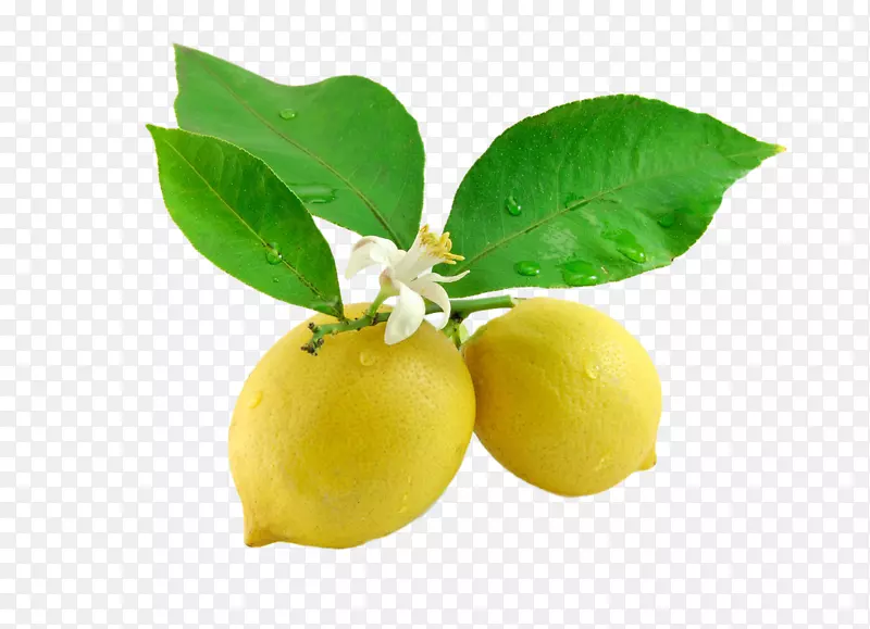 美容水果柠檬