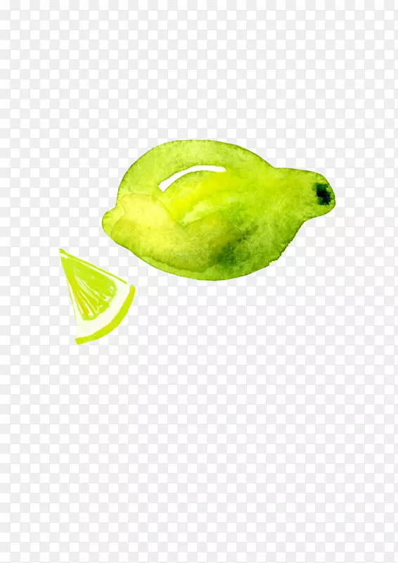 一个绿色的水彩柠檬