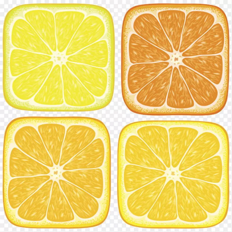 橙黄色美味的水果柠檬片卡通