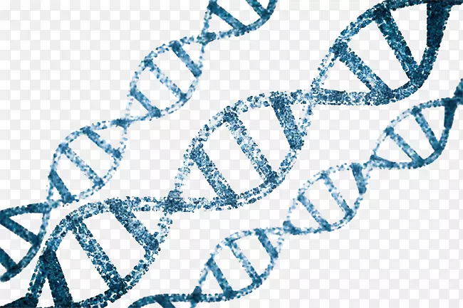 藏青色dna遗传物质基因肽链脱