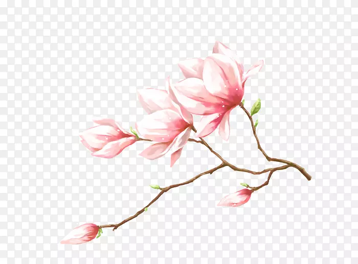 手绘粉色桃花
