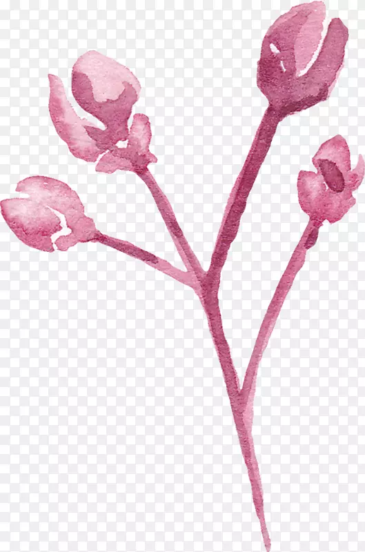 水彩粉色的一株花