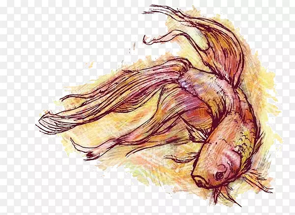 创意金鱼水彩画