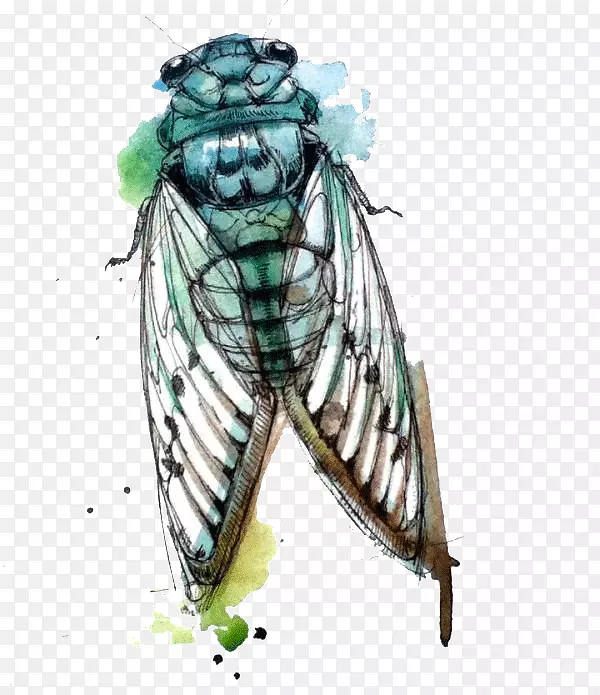 创意昆虫水彩画