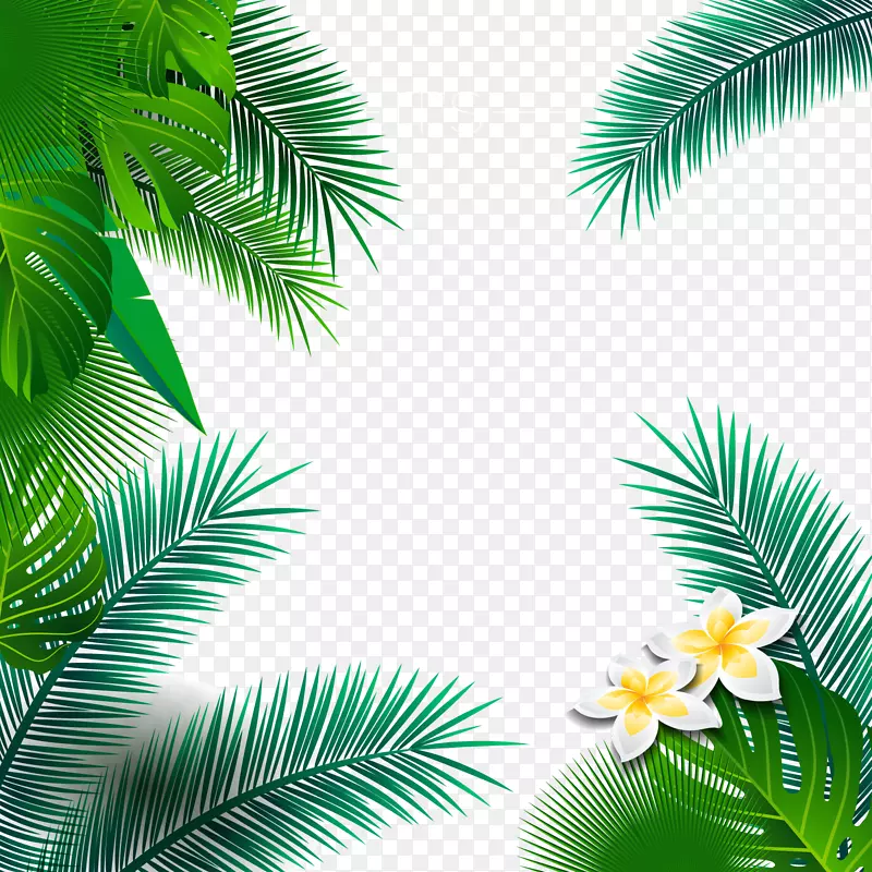 夏季热带棕榈树叶框架矢量图