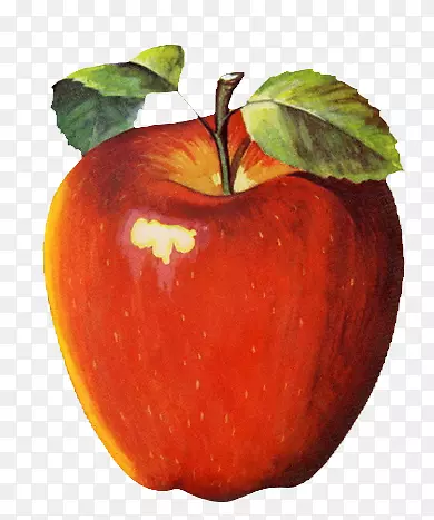 彩绘红色苹果