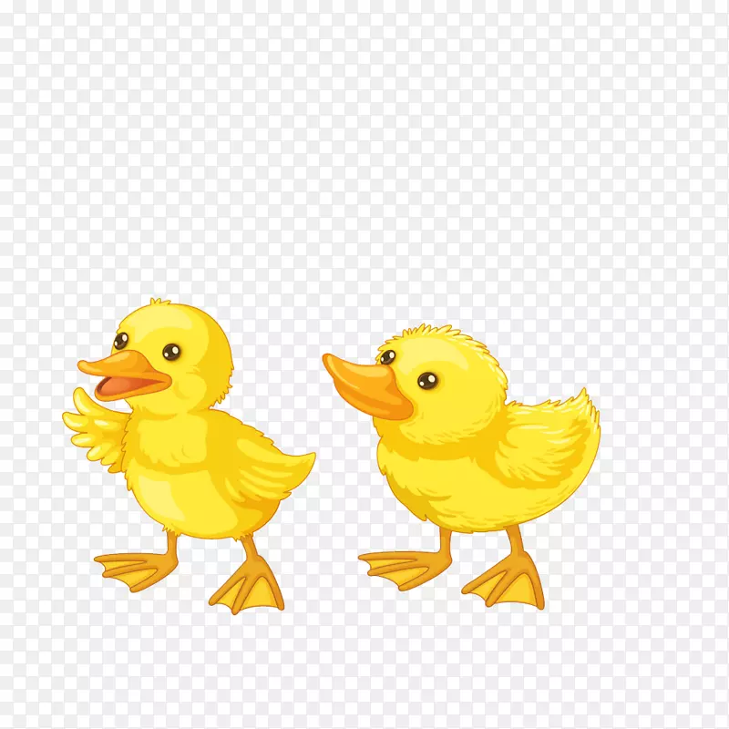 两只小鸭