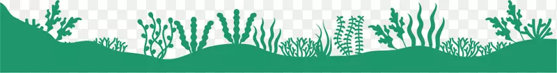 绿色海底水草植物