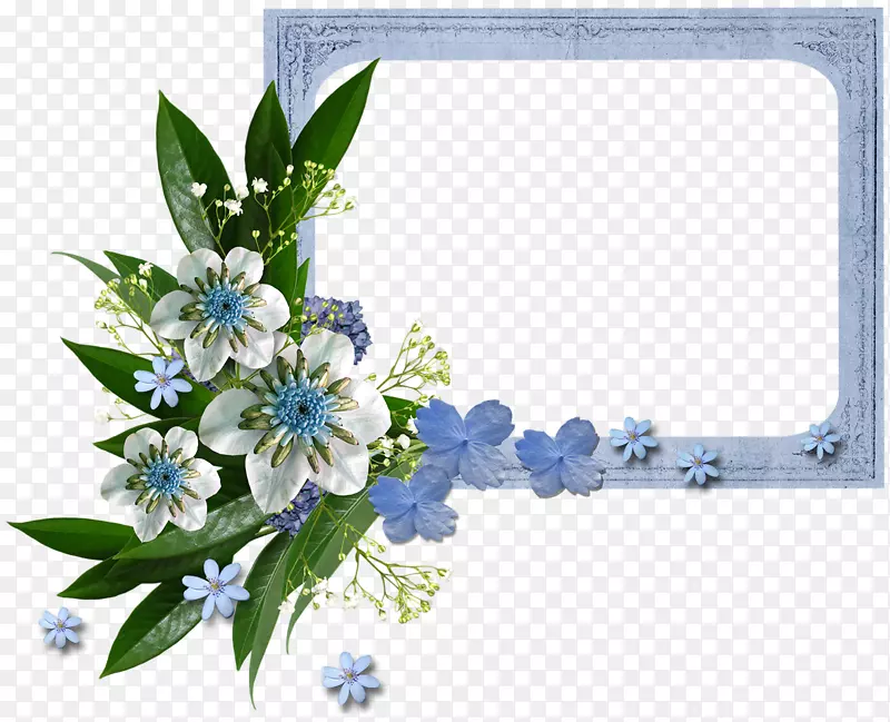 花朵相框png图片素材