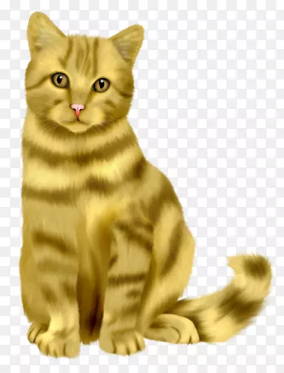 彩绘金黄色波斯猫正面