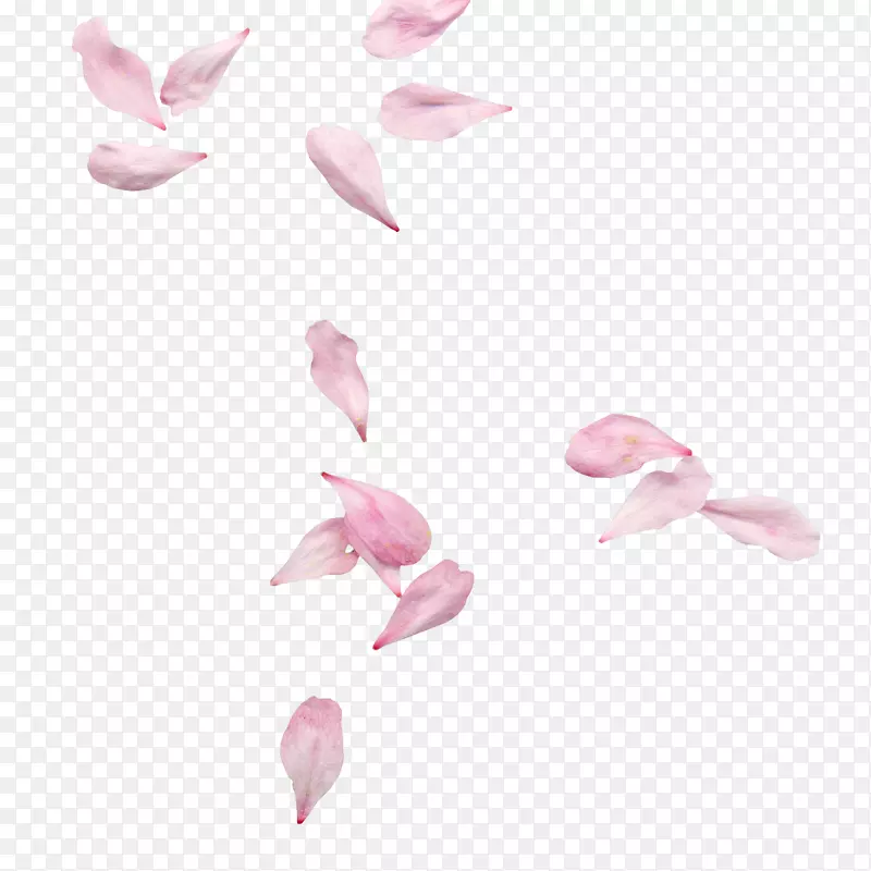 唯美樱花花瓣设计元素
