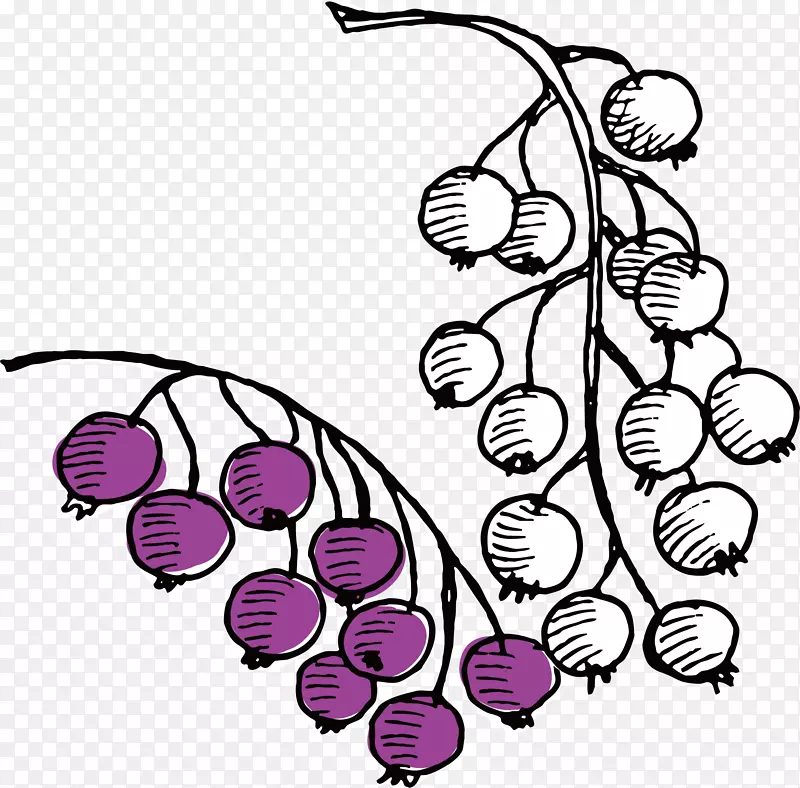 矢量手绘紫色浆果素材