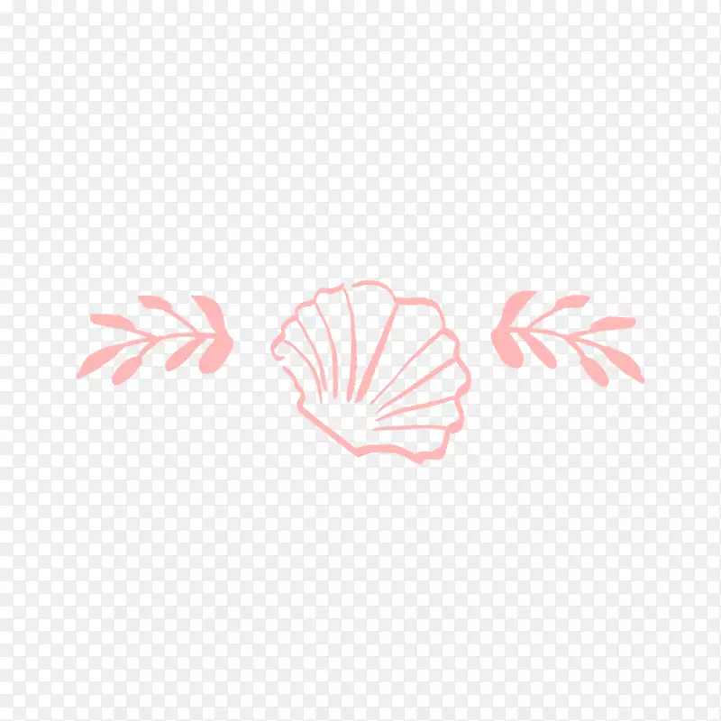 手绘贝壳和叶子