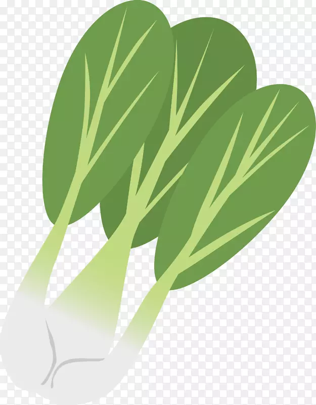 卡通手绘蔬菜装饰海报设计白菜