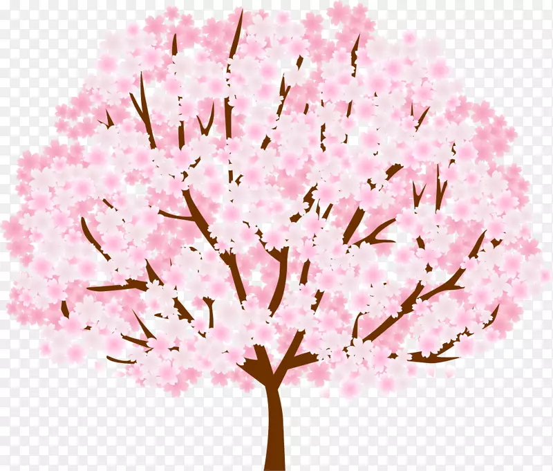 春天茂密粉色大树