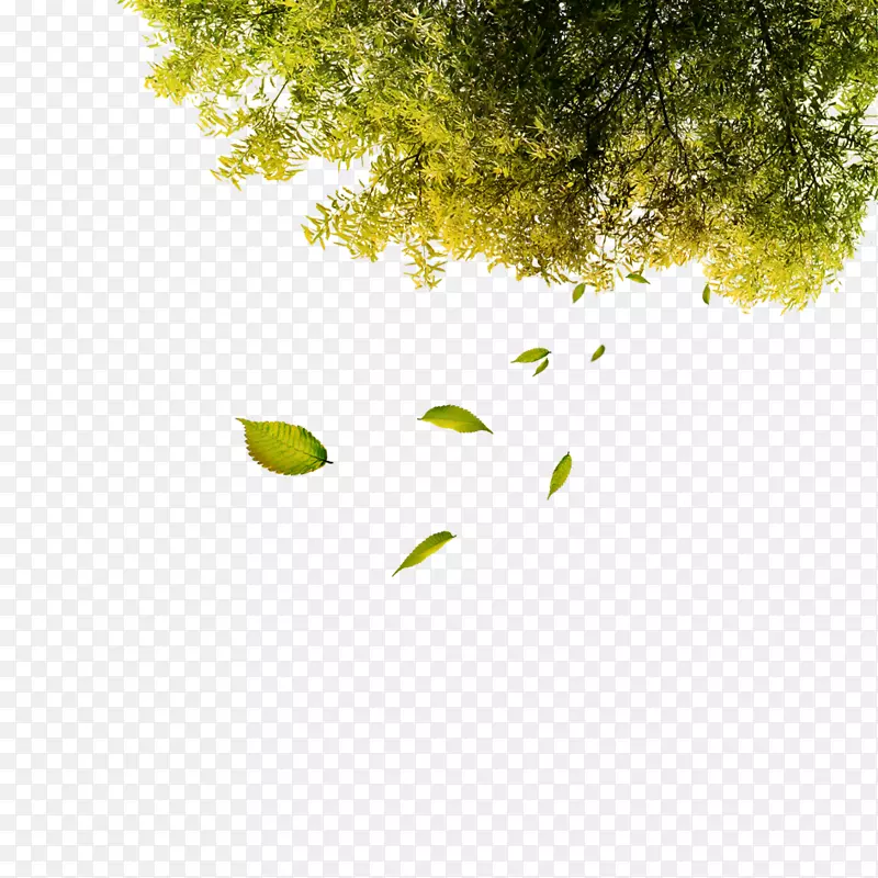 绿色植物飘叶素材PNG图片素材下载_图片编号7290148-PNG素材网