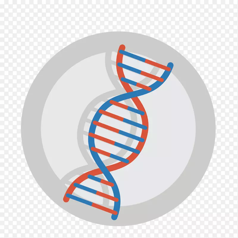 卡通生物学DNA分子结构图矢量