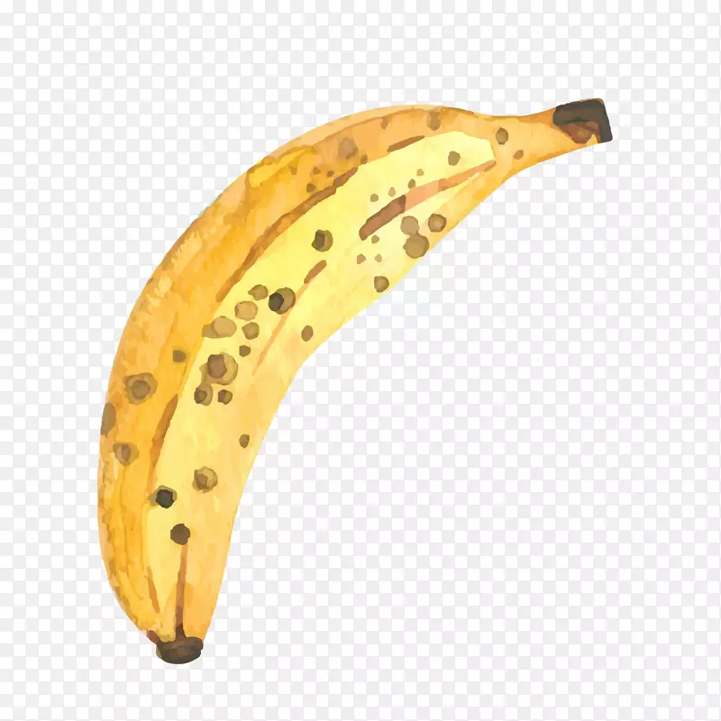 水彩绘黄色香蕉矢量图