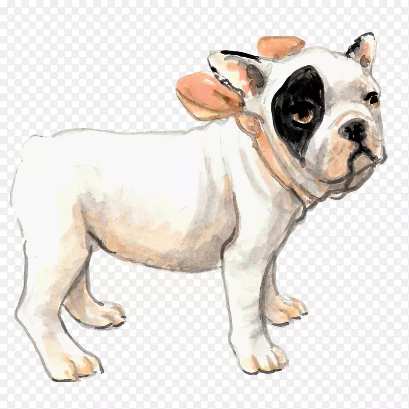 卡通手绘白色的狗