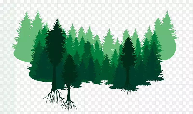 绿色的成片树林