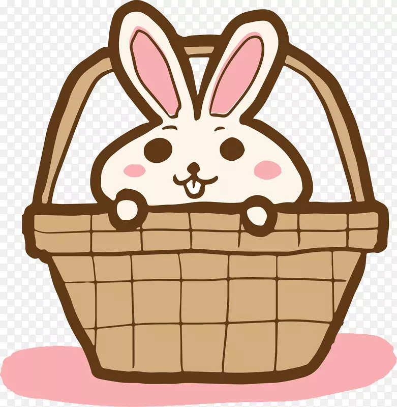 篮子里的可爱小兔子
