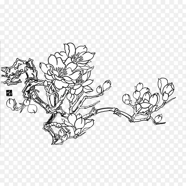 中国风手绘玉兰花