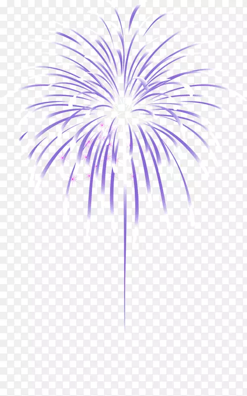 节日礼花素材png图片