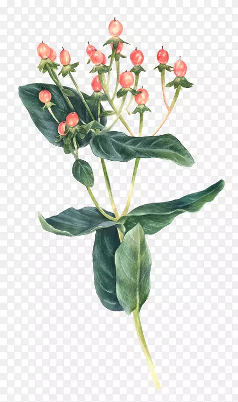 文艺清新风花朵花草PNG图片素材下载_图片编号7299365-PNG素材网