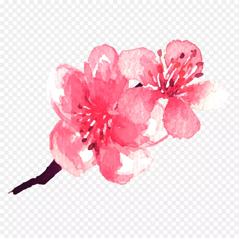 水彩手绘漂亮桃花设计元素
