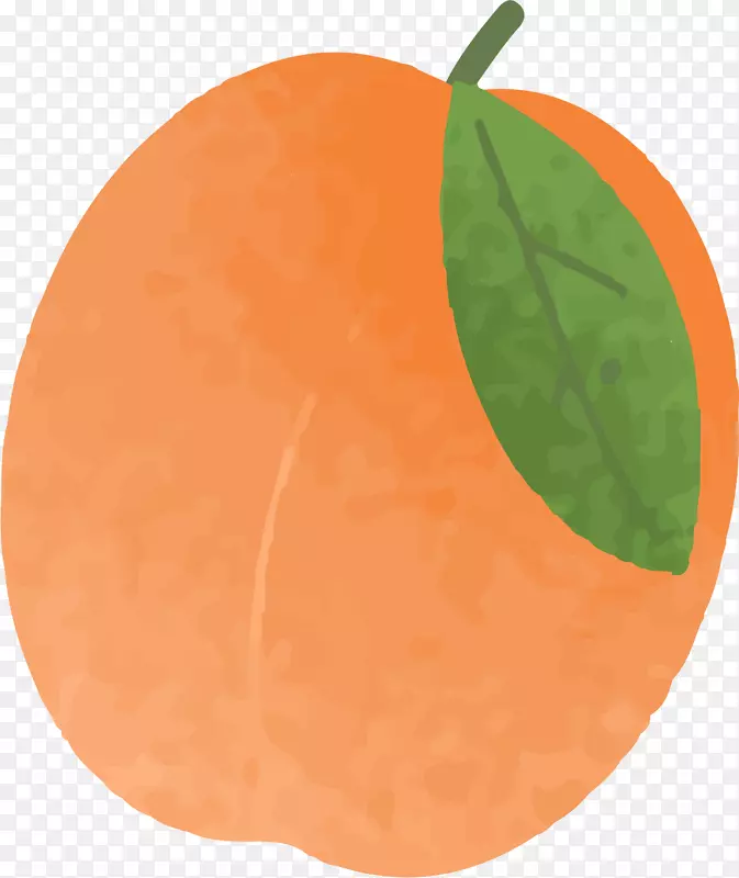 橘黄色桃子