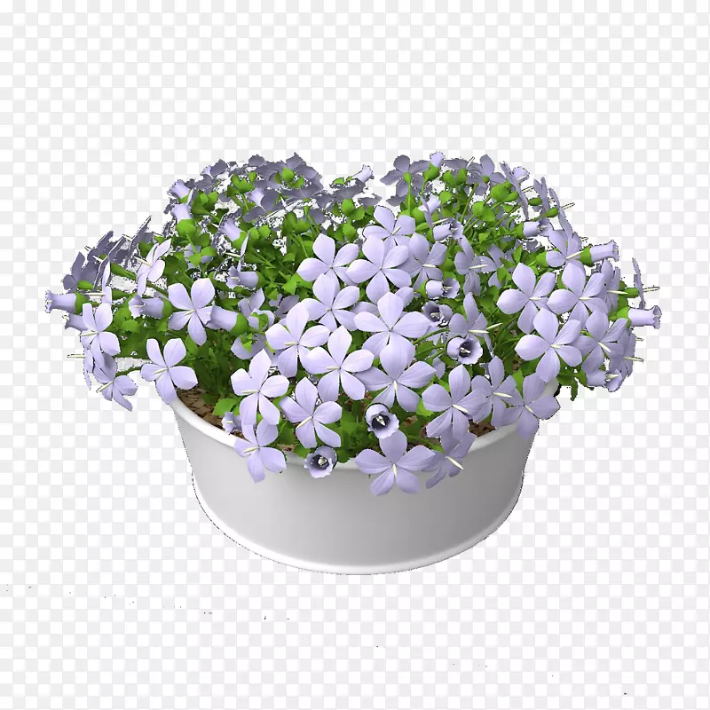 白紫色花吊篮花