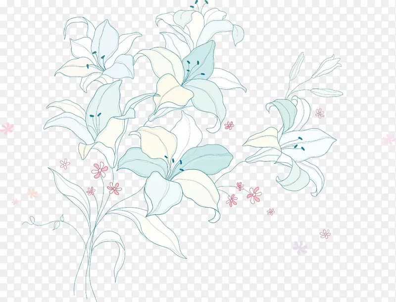 百合花束手绘百合花
