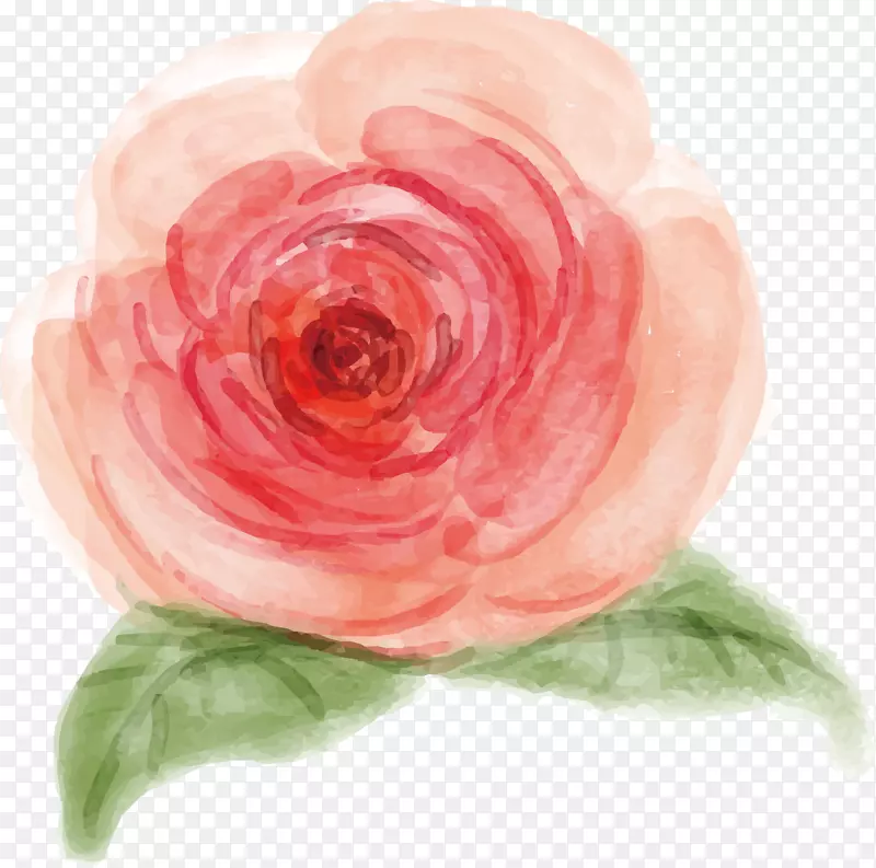 手绘水彩玫瑰花