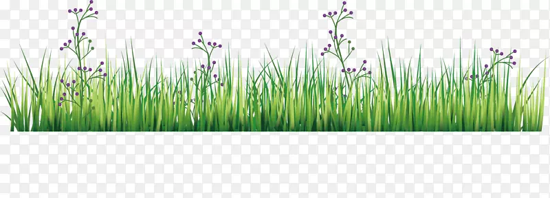 矢量图绿地里的紫色花