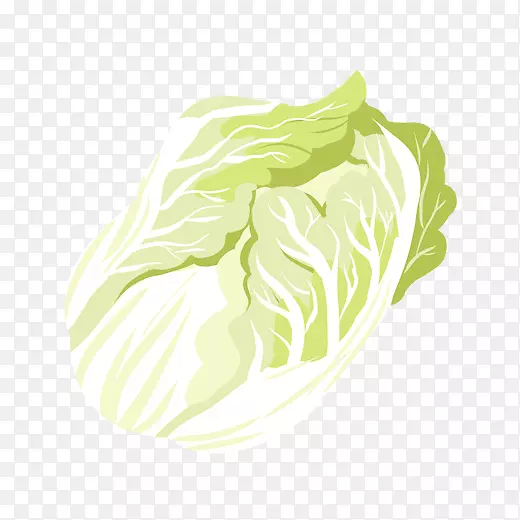 绿色创意纹理大白菜食物元素