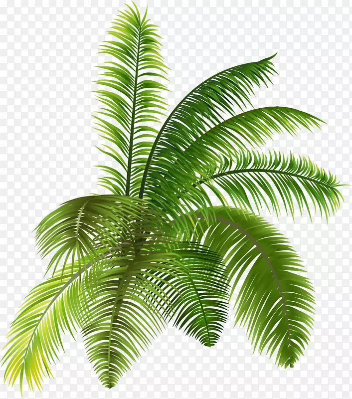 绿色清新植物PNG图片素材下载_图片编号7306038-PNG素材网