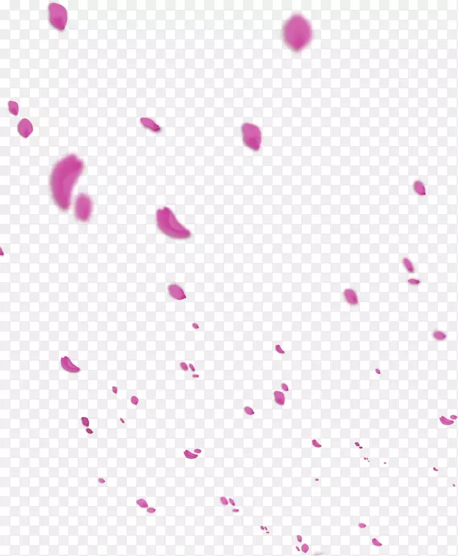 紫色的花瓣效果合成模糊