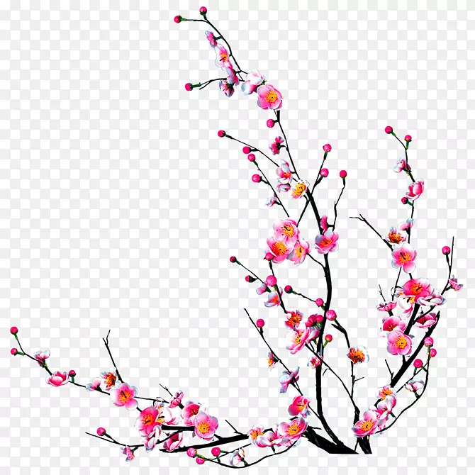 粉色桃花树枝装饰图案