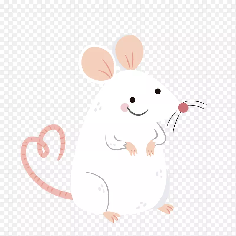 高级白色设计老鼠