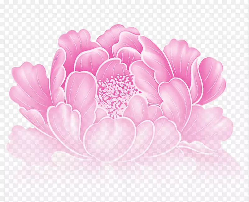粉色清新牡丹花装饰图案
