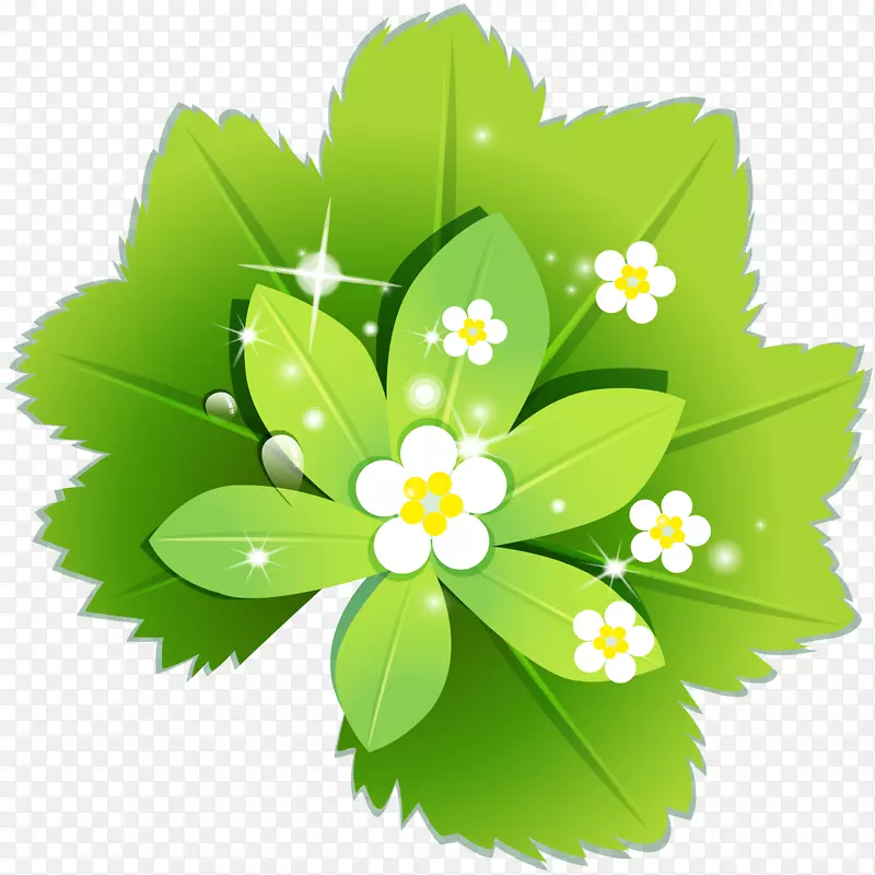 绿色植物与白色小花