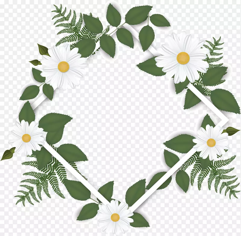 精美白色雏菊边框