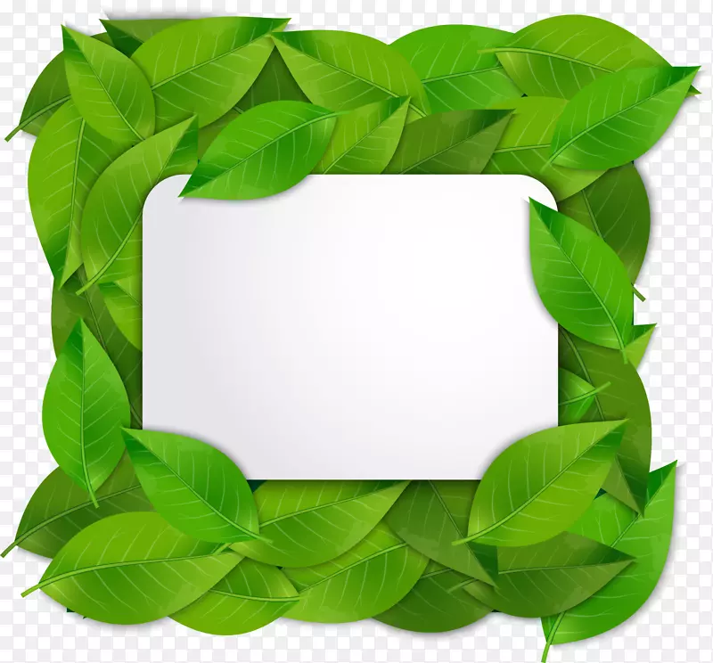 绿色简约树叶框架