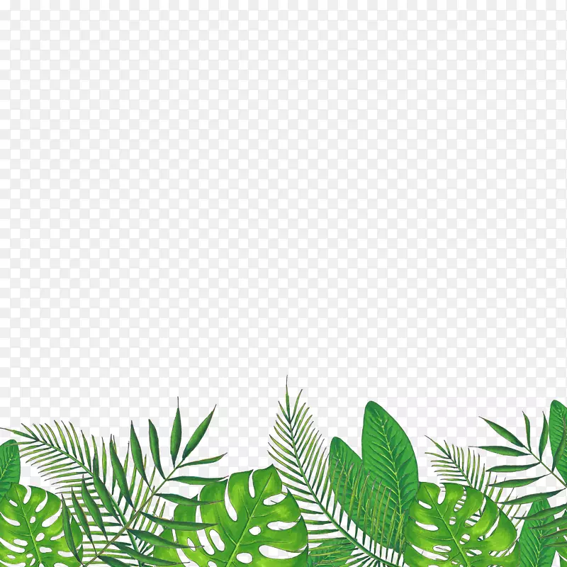 绿色热带植物边框装饰