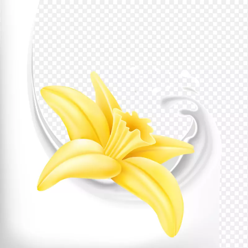 百合花牛奶矢量