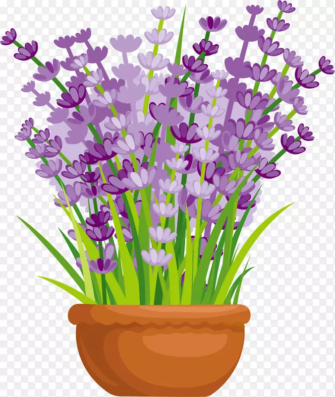 手绘创意紫色薰衣草植物