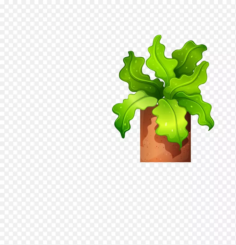 卡通热带植物装饰