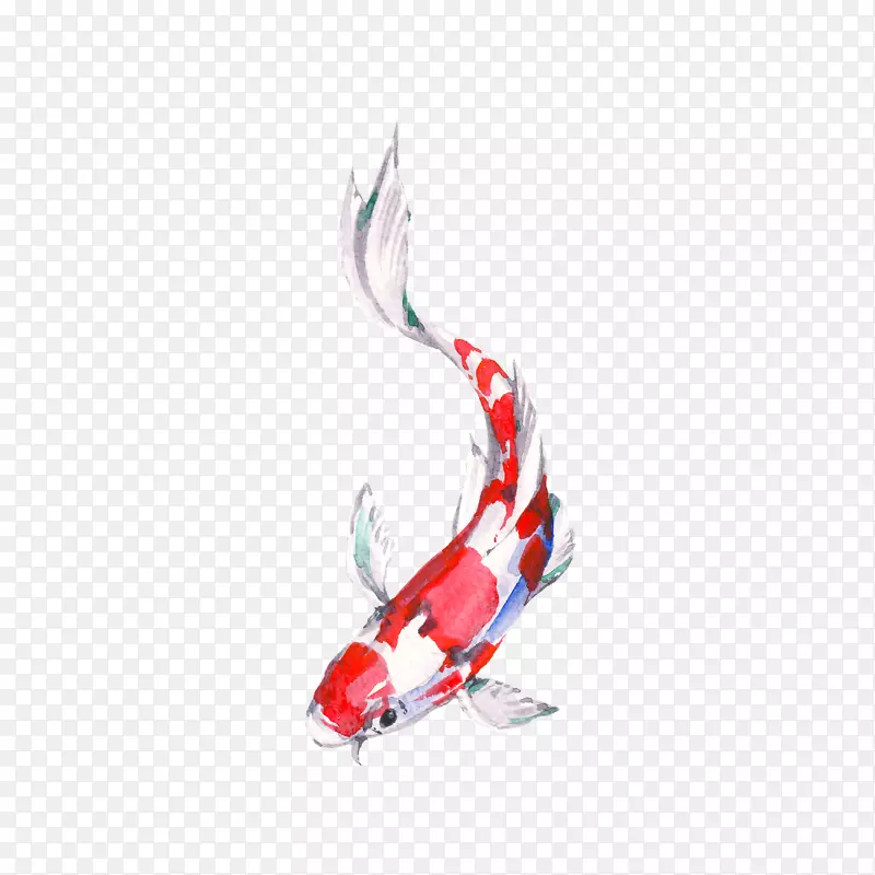 手绘红色的鲤鱼素材