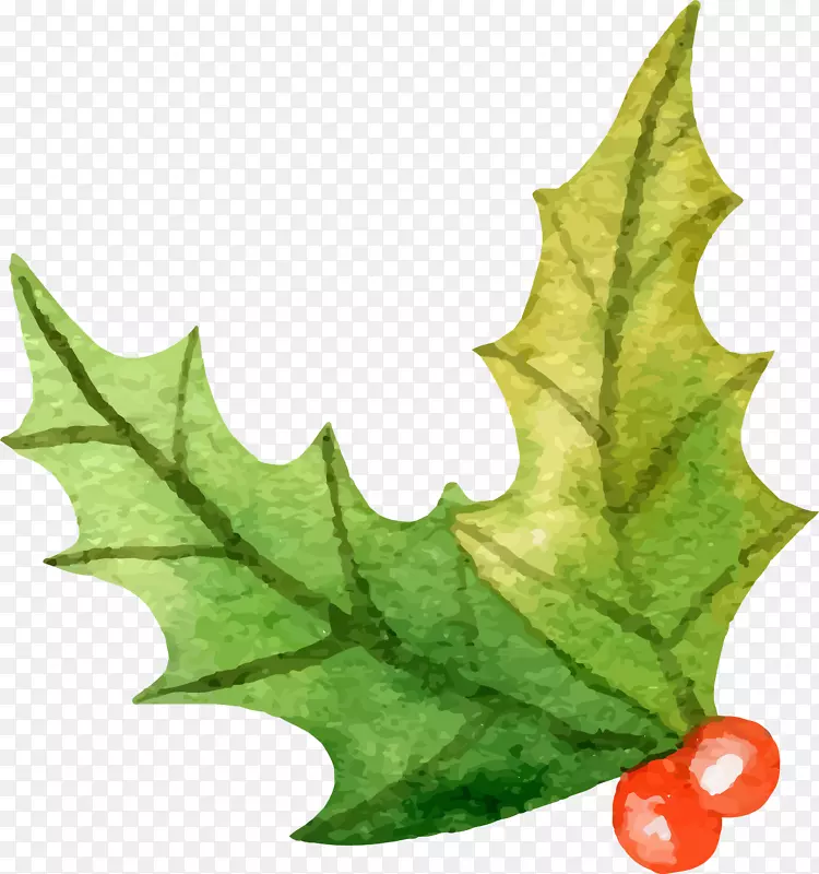 卡通圣诞节绿色树叶浆果