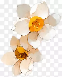 手绘黄白色小花装饰